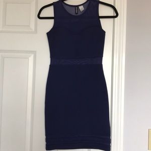 Plum bodycon dress with mesh detailing